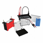 Gel Electrophoresis Device Manufacturer - Horizontal Nucleic Acid DNA RNA