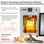 Incubator Manufacturer - Digital Small Lab CO2 18-30L Plant Biology