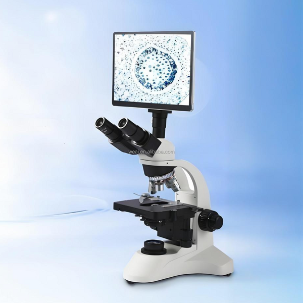 Microscope Manufacturer - Microscopio Dental 1000X-1600X with LCD Screen