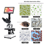 Microscope Manufacturer - 5000x Medical School Dental Biology Digital