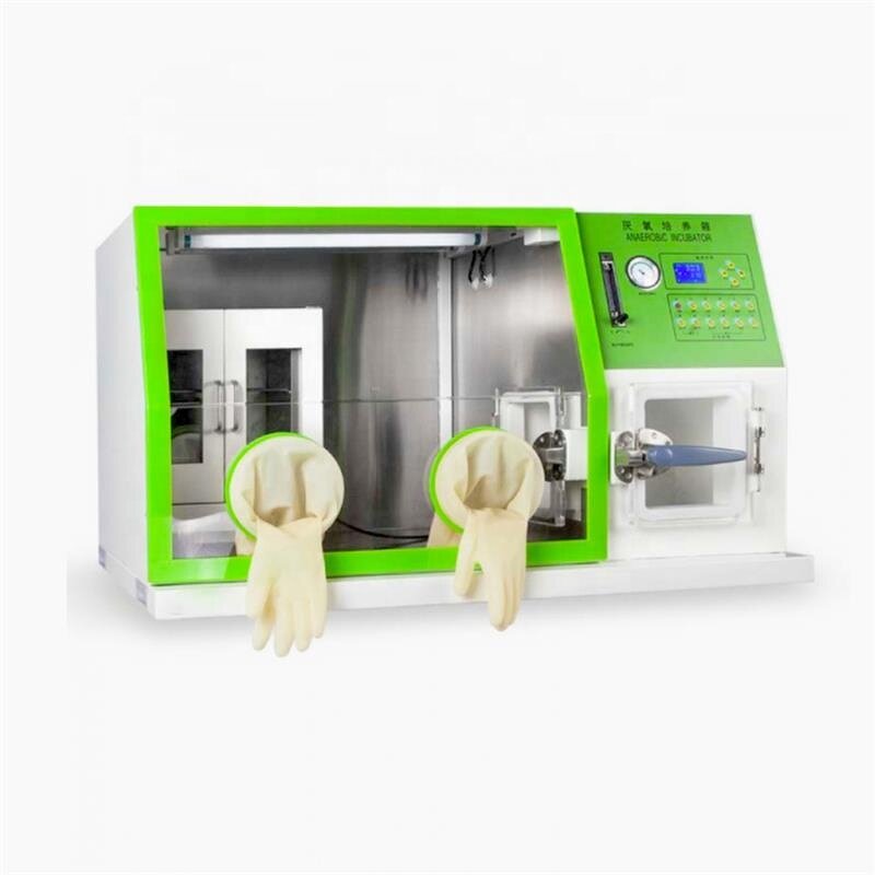 Incubator Manufacturer - LCD Stainless Steel Glovebox Lab Petri Dishes