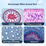 Microscope Manufacturer - 5000x Medical School Dental Biology Digital