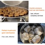 Autoclave Manufacturer - LS-35LD 35L 150L High Temperature Vertical