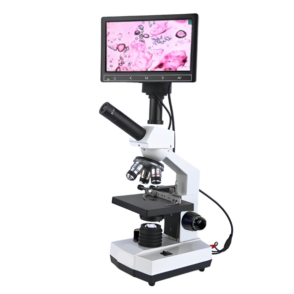 Microscope Manufacturer - Medical Cell Studies HD 640x Digital Binocular