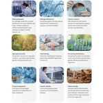 PCR Machine Manufacturer - Factory Price 96 Well Agriculture Animal Gene