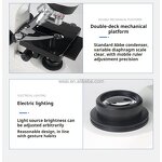 Microscope Manufacturer - Microscopio Dental 1000X-1600X with LCD Screen