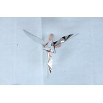 Bird Repellent Manufacturer - Stainless Steel Wind-wing