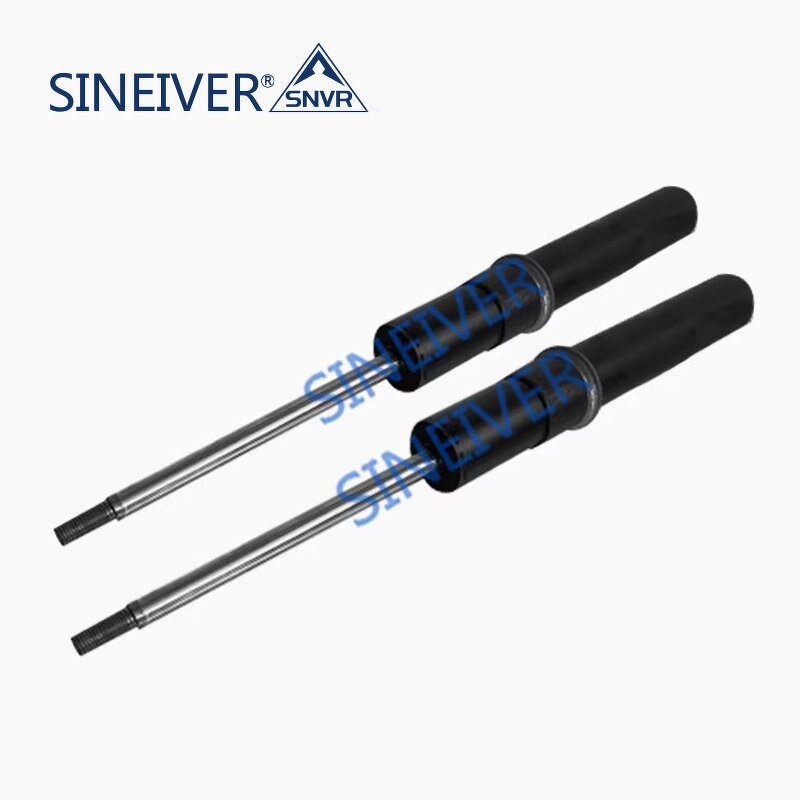 Pneumatic Shock Absorber Manufacturer - For Audi A6 S6 2019-2025 4K0413031AP Suspension System