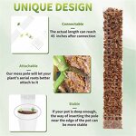 Moss Pole - Plastic Stackable for Indoor Climbing Plants & Creepers