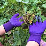 Gardening Gloves - Claw Nitrile Nylon Anti-Slip Anti-Cut for Planting