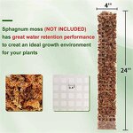 Moss Pole - Plastic Stackable for Indoor Climbing Plants & Creepers