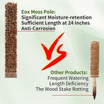Moss Pole - Plastic Stackable for Indoor Climbing Plants & Creepers