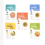 Konjac Noodles Factory - Wholesale Low Carb Gluten Free Product