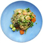 Konjac Noodle Manufacturer - Wholesale Gluten Free Halal Ramen