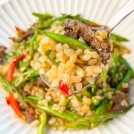 Konjac Noodles Factory - Wholesale Low Carb Gluten Free Product