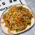 蒟蒻面源头工厂-低卡中式即食日式