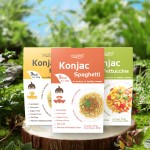 Konjac Shirataki Noodles Factory - Wholesale Zero Sugar High Fiber