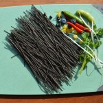 Gluten Free Pasta Manufacturer - High Protein Bean Noodles Organic