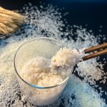 Dry Konjac Rice Factory - Wholesale Low Carb Sugar Free Keto