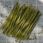 生酮面生产商-无麸质毛豆有机清真