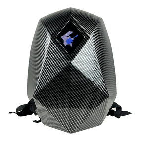 Motorcycle Riding Backpack Manufacturer - Professional China Factory Reusable Advertising LED Display Digital Hard Shell