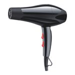 Hair Dryer Manufacturer - Professional for Hotel Use Fast Heating Hot/cold Air Adjustment Air Collecting Feature Iron