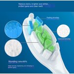 Electric Toothbrush Head Manufacturer - Professional Replacement Rotate Able for Oscillating Power Toothbrush