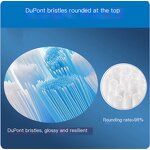 Electric Toothbrush Head Manufacturer - 2025 New Mold Compatible for PS HX9034 Medium for All HX3-6-8-9 Series G2 Black for Hotels