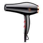 Hair Dryer Manufacturer - Professional Salon One Step Household Iron High Speed Negative Iron Repair Portability