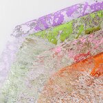 Floral Art Gilded Bouquet Wrapping Mesh Manufacturer - Wholesale Korean Gauze Sequin Polyester for Gift Packaging