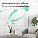 Essential Oil Diffuser Manufacturer - Luxury 100ml with Reed Diffuser Scent Glass Bottle Aroma Sticks Wholesale for Hotel Amenities Home Use