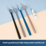 Toothbrush Set Manufacturer - Wholesale Hotel Disposable Soft-Bristle with Plastic Toothpaste Bamboo Toiletries Special for Bed & Breakfast