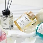 Reed Diffuser Manufacturer - Hot Sale 140ML Fresh Fruit Flower Scent Home Aromatherapy for Odor-Free Bedroom Living Room Hotel Amenities