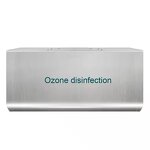 Ozone Generator Manufacturer - Commercial 3G/5G/10G Wall Mounted Air Purifier for Food Factory Warehouse RV Sterilization Disinfection Use