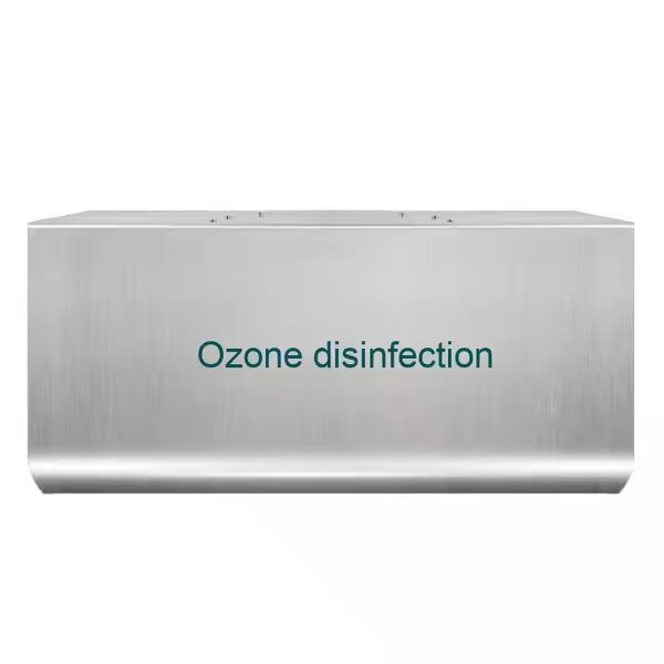 Ozone Generator Manufacturer - Warehouse RV Wall Mounted 3G5G10G Commercial Air Purifier Sterilization and Disinfection Food Factory