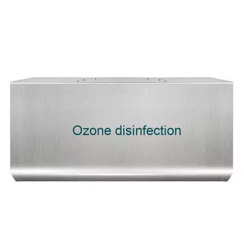 Ozone Generator Manufacturer - Warehouse RV Wall Mounted 3G5G10G Commercial Air Purifier Sterilization and Disinfection Food Factory