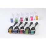 6 in 1 Derma Rolling System Factory - Anti Stretch Marks 12-1200 Needles