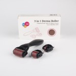 Multifunction Derma Roller Factory - Newest 6 in 1 Ice Roller Kit