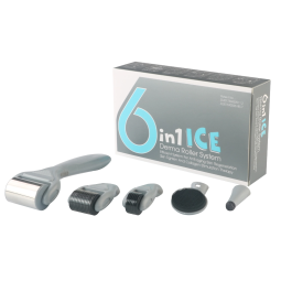Portable Derma Roller Manufacturer - 6 in 1 1.5mm Titanium OEM
