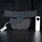 LED Light Therapy Device Manufacturer - Face Neck Infrared Physiotherapy
