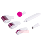 Portable Derma Roller Manufacturer - 6 in 1 1.5mm Titanium OEM