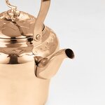 Tea Kettle Manufacturer - Luxurious Stainless Steel Cooking for Stove Top with Ergonomic Handle for Gas Induction