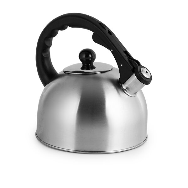 Tea Kettle Manufacturer - Whistling Tea Pot Stainless Steel - Modern Water Kettles for Stove Top