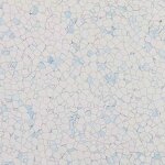 ESD Flooring Tiles Manufacturer - Professional Workshop Interlocking Floor Market as Pressure Sensors Tile Grounding