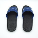 Anti-static Slippers Manufacturer - Blue PVC Sole for Food Manufacturing Unisex Cleanroom Esd Shoes