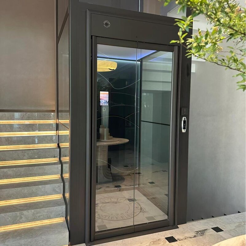 Passenger Elevator - 8 Person Home Lift with Custom Options