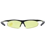 YL1542 Safety Goggles - Anti-Fog Anti-Scratch Anti-Static PC
