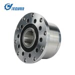 One-way Clutch Manufacturer - CKZF-D Series Non-contact Wedge Type