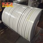 Galvanized Steel Strips - Z40 Sgcc Q195 Dx51d 0.5mm 1mm Prepainted in Coil