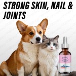 Collagen for Dogs Factory - Private Label Premium Skin Coat